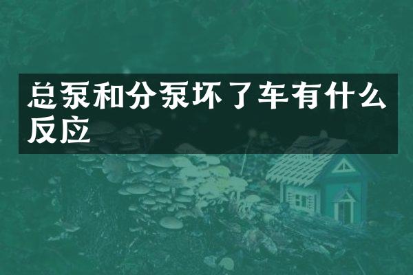 總泵和分泵壞了車有什么反應(yīng)