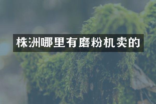 株洲哪里有磨粉機賣的