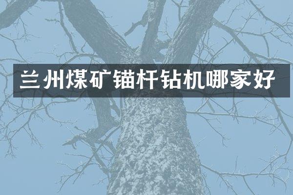 蘭州煤礦錨桿鉆機哪家好