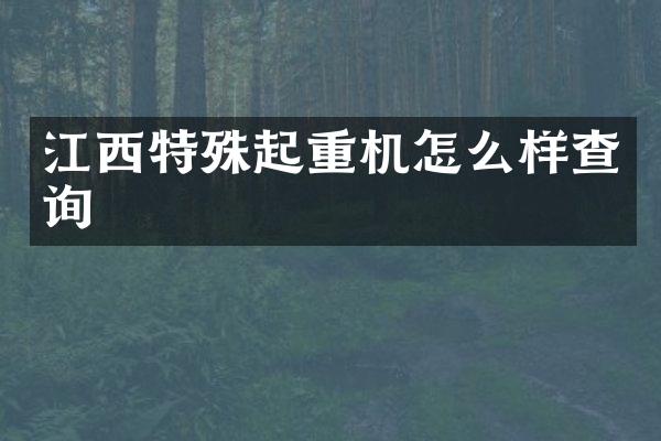 江西特殊起重機怎么樣查詢