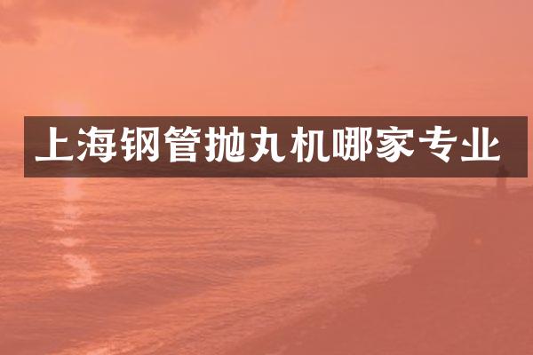 上海鋼管拋丸機哪家專業(yè)