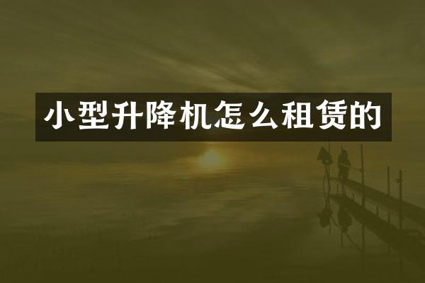 小型升降機(jī)怎么租賃的