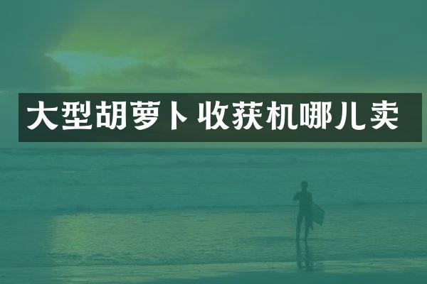 大型胡蘿卜收獲機(jī)哪兒賣