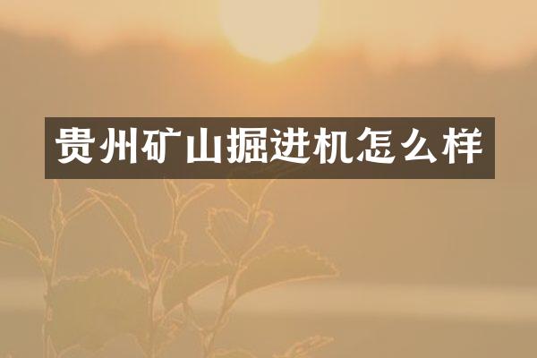 貴州礦山掘進機怎么樣