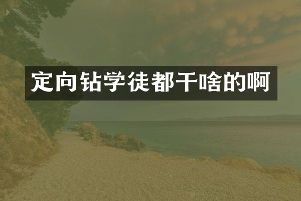 定向鉆學(xué)徒都干啥的啊