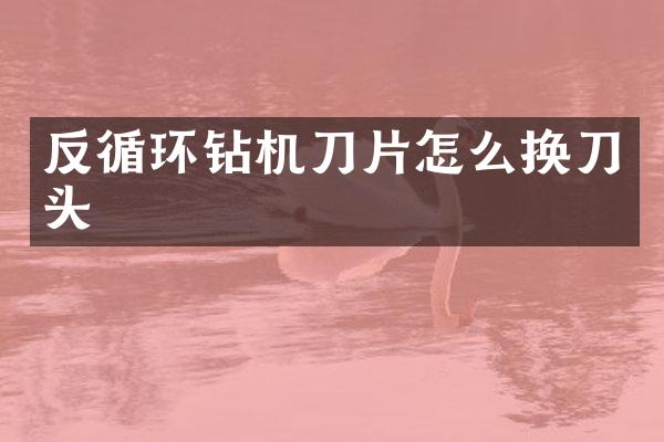 反循環(huán)鉆機(jī)刀片怎么換刀頭