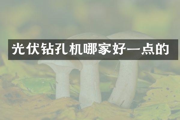 光伏鉆孔機哪家好一點的