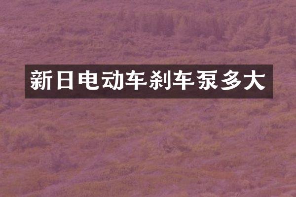 新日電動車剎車泵多大