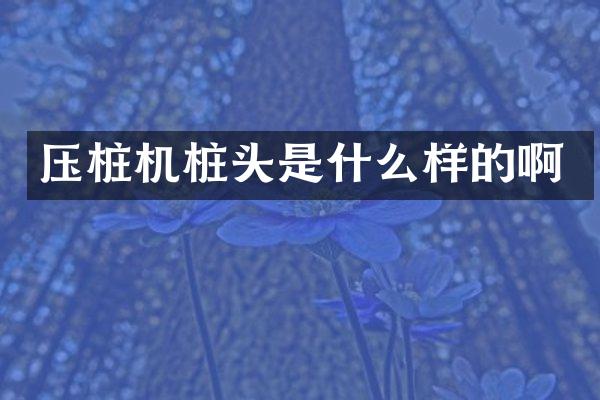 壓樁機(jī)樁頭是什么樣的啊