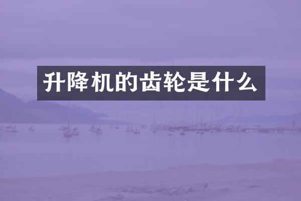 升降機(jī)的齒輪是什么