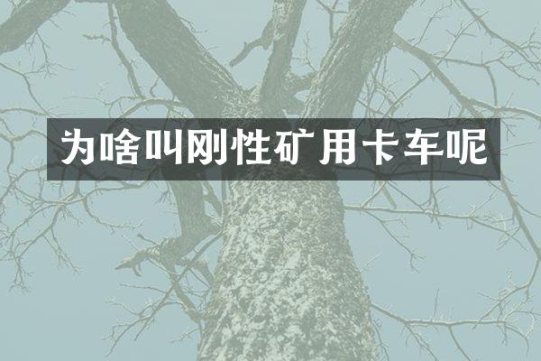 為啥叫剛性礦用卡車呢