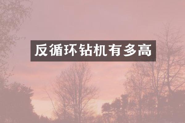 反循環(huán)鉆機有多高