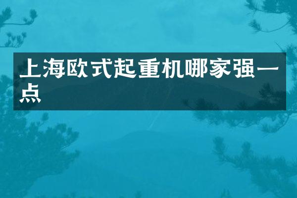 上海歐式起重機(jī)哪家強(qiáng)一點(diǎn)