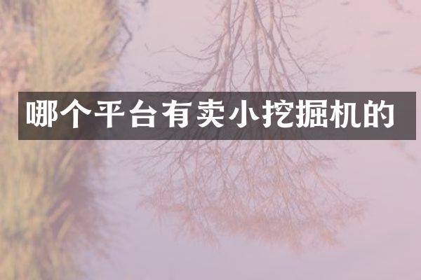 哪個平臺有賣小挖掘機的