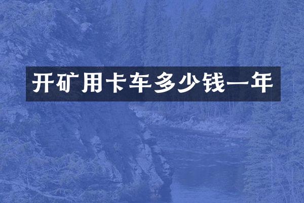 開礦用卡車多少錢一年