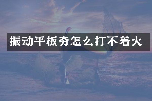 振動(dòng)平板夯怎么打不著火