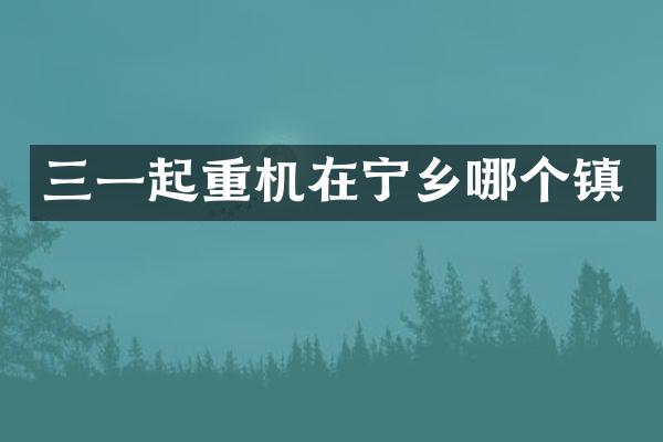 三一起重机在宁乡哪个镇