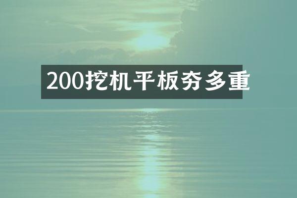 200挖機(jī)平板夯多重