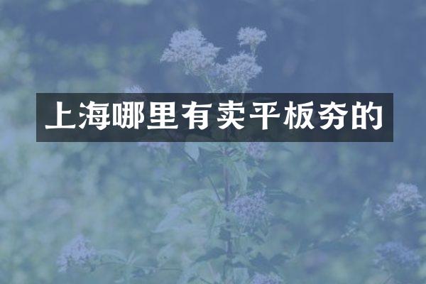 上海哪里有賣平板夯的