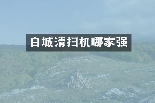 白城清掃機哪家強