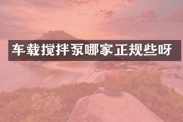車載攪拌泵哪家正規(guī)些呀