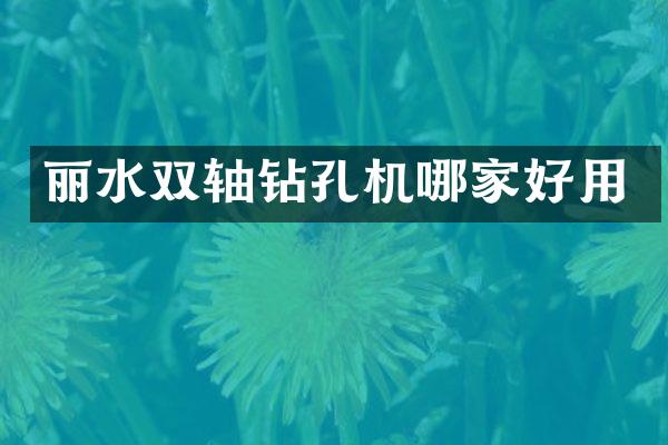 麗水雙軸鉆孔機(jī)哪家好用