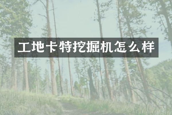 工地卡特挖掘機(jī)怎么樣