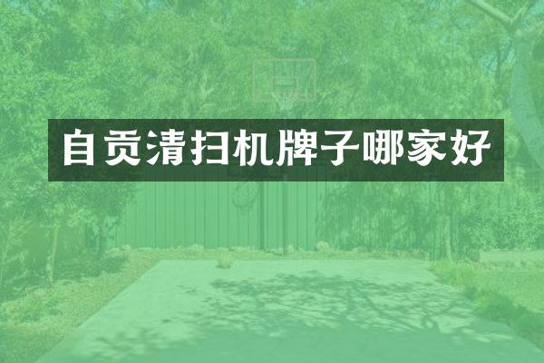 自貢清掃機(jī)牌子哪家好