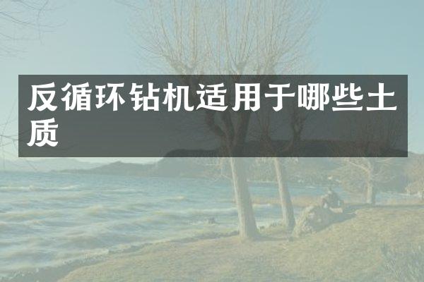 反循環(huán)鉆機適用于哪些土質(zhì)