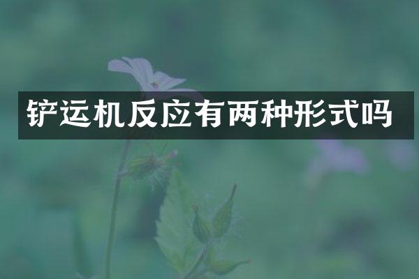 鏟運(yùn)機(jī)反應(yīng)有兩種形式嗎