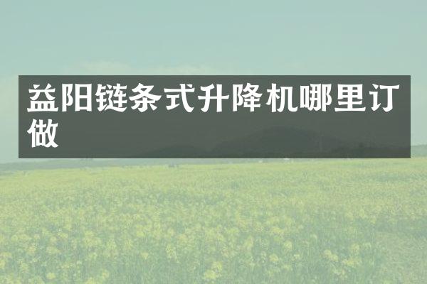 益陽鏈條式升降機(jī)哪里訂做