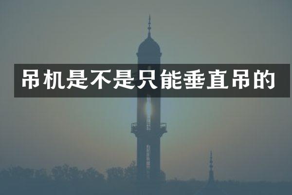 吊機(jī)是不是只能垂直吊的