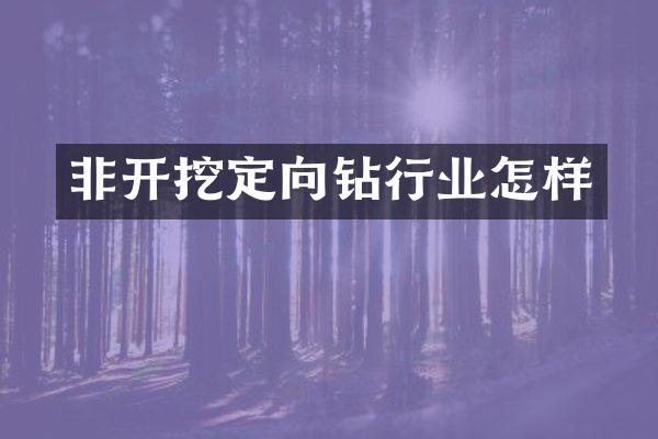 非開挖定向鉆行業(yè)怎樣