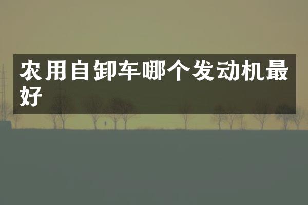 農(nóng)用自卸車哪個發(fā)動機最好