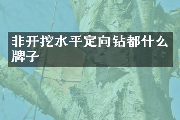 非開挖水平定向鉆都什么牌子