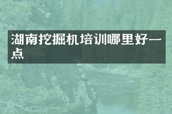 湖南挖掘機培訓哪里好一點