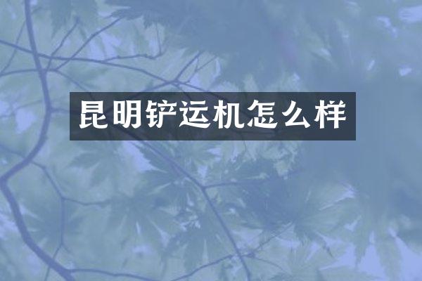 昆明鏟運機怎么樣