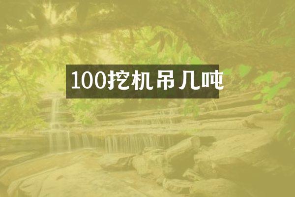 100挖機(jī)吊幾噸