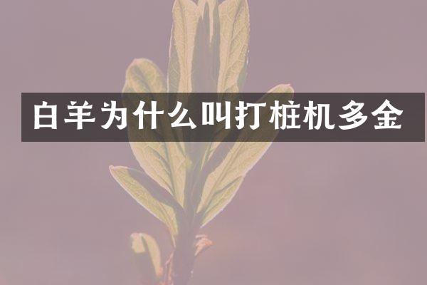 白羊?yàn)槭裁唇写驑稒C(jī)多金