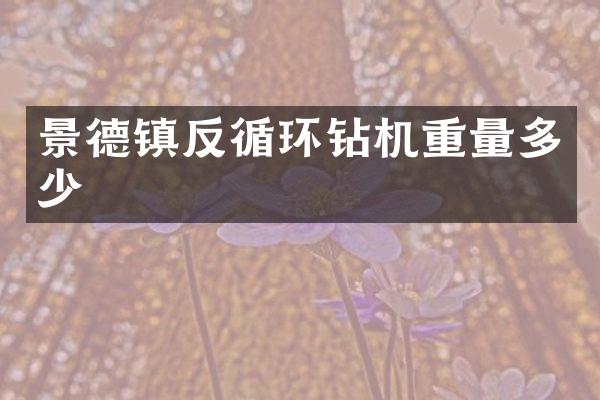 景德鎮(zhèn)反循環(huán)鉆機(jī)重量多少