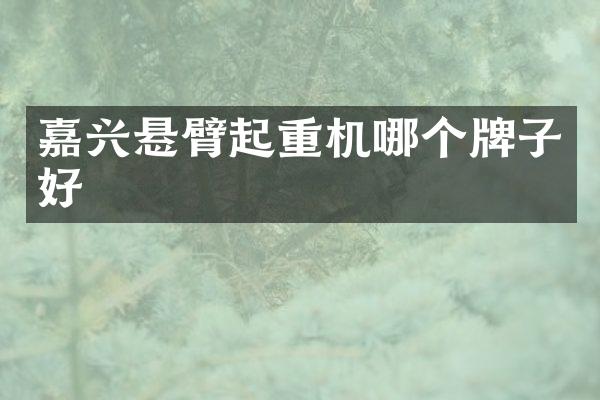 嘉興懸臂起重機哪個牌子好