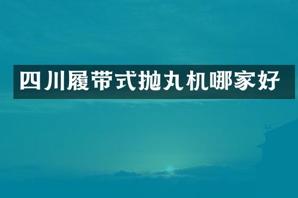 四川履帶式拋丸機哪家好