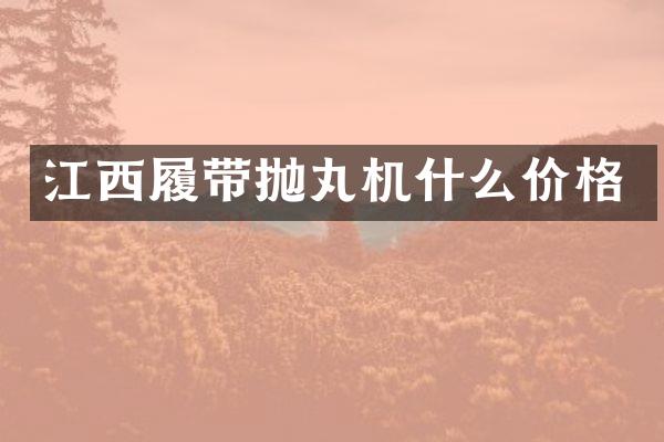 江西履帶拋丸機(jī)什么價(jià)格