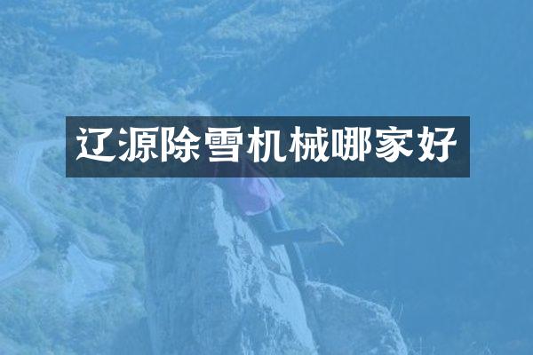 遼源除雪機械哪家好