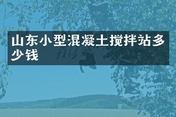 山東小型混凝土攪拌站多少錢