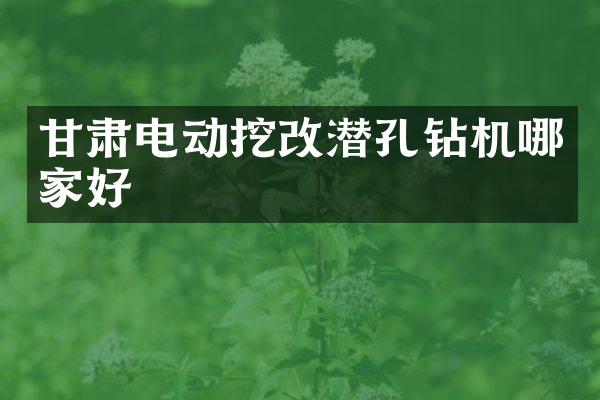 甘肅電動挖改潛孔鉆機(jī)哪家好