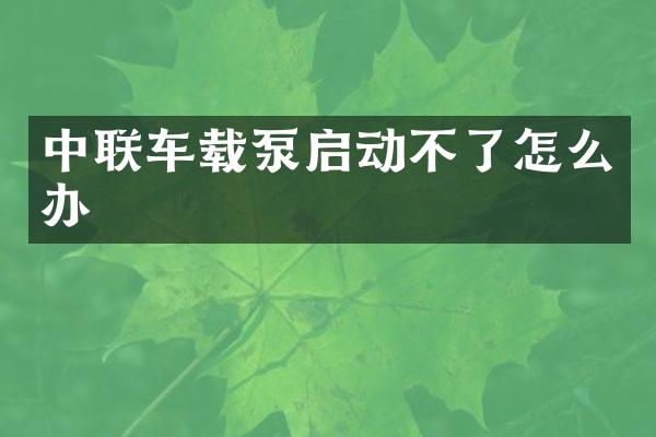 中聯(lián)車載泵啟動不了怎么辦