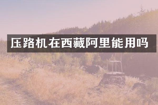 壓路機在西藏阿里能用嗎