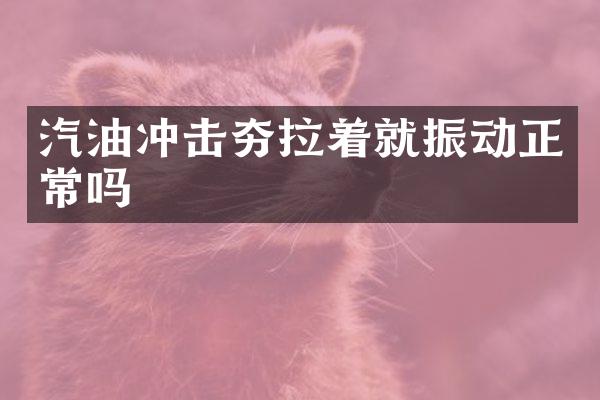 汽油沖擊夯拉著就振動正常嗎