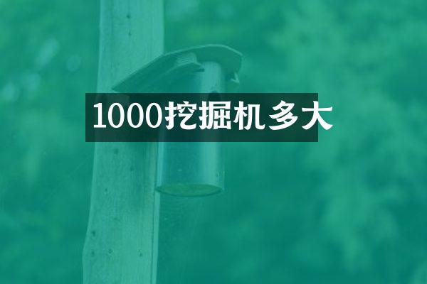 1000挖掘機(jī)多大